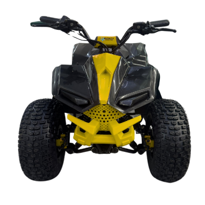MOTO ELETRICA VELOCIFERO QUADRICICLO ATV-E 750W - YELLOW